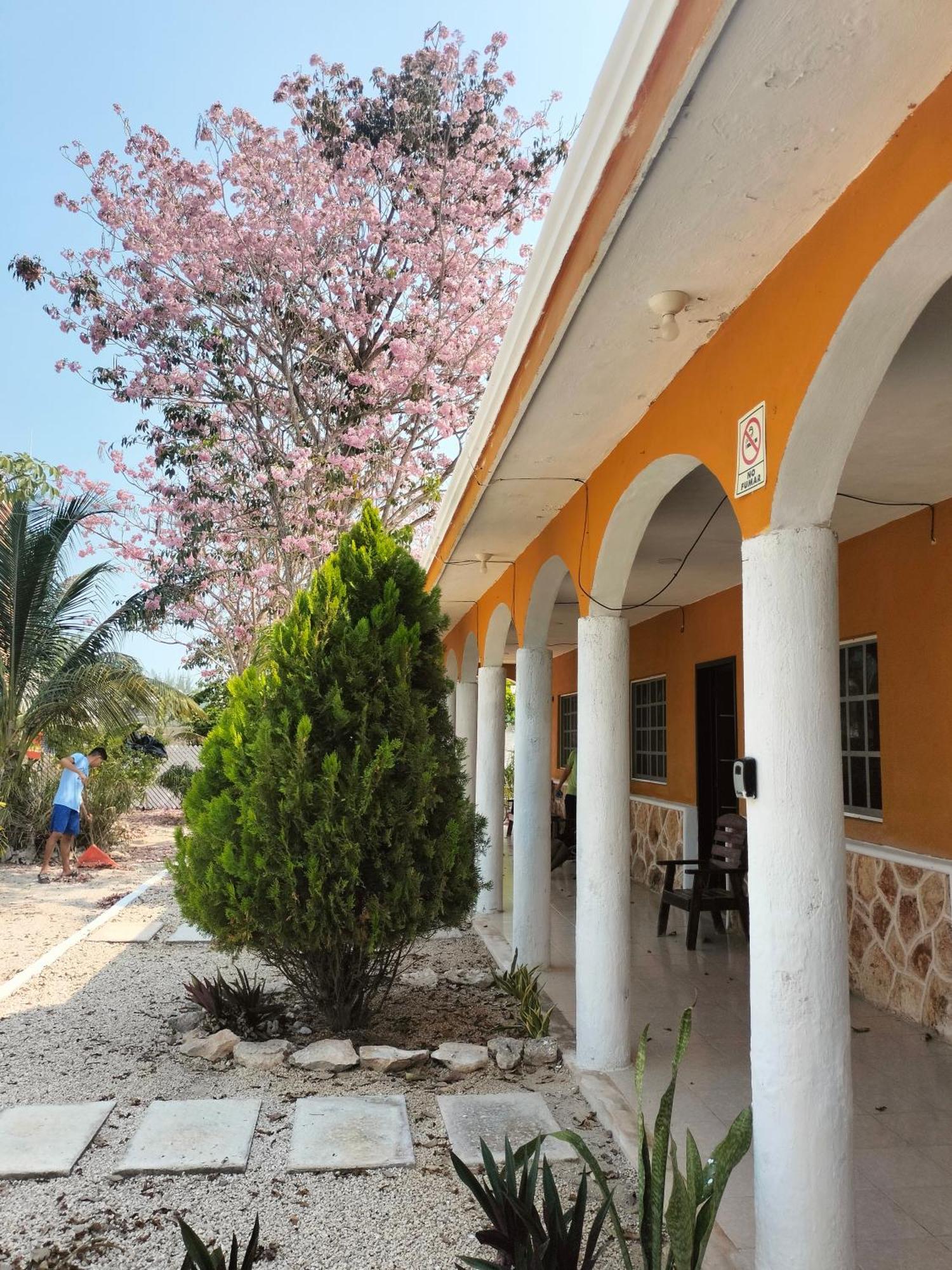 Villa Gabriela سيليستون المظهر الخارجي الصورة
